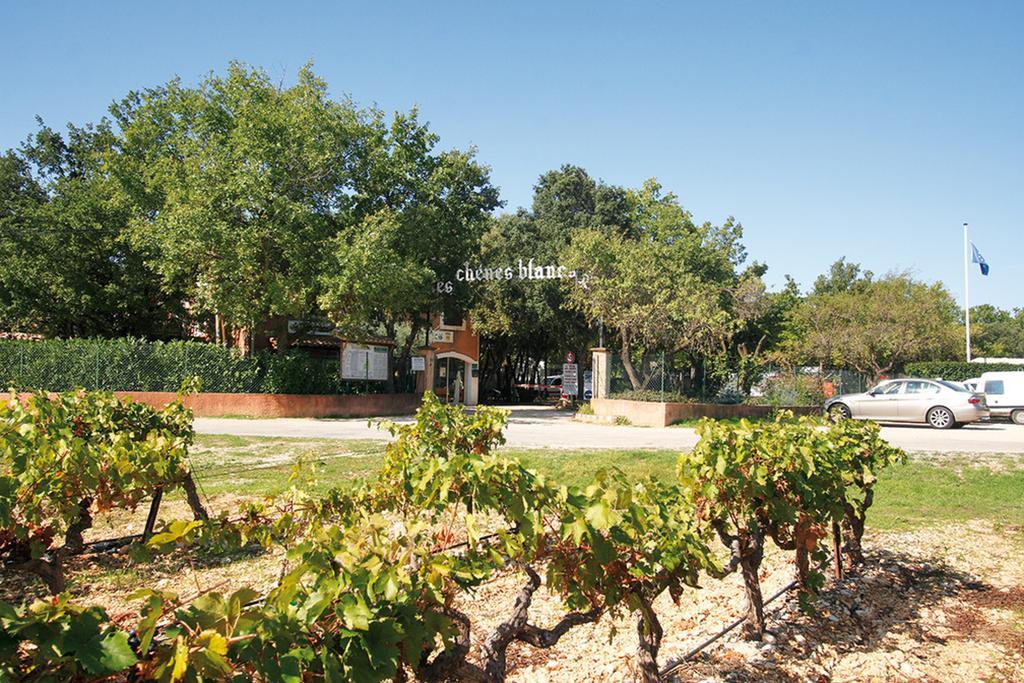 Hotel Domaine Les Chenes Blancs Saint-Saturnin-lès-Apt Zewnętrze zdjęcie